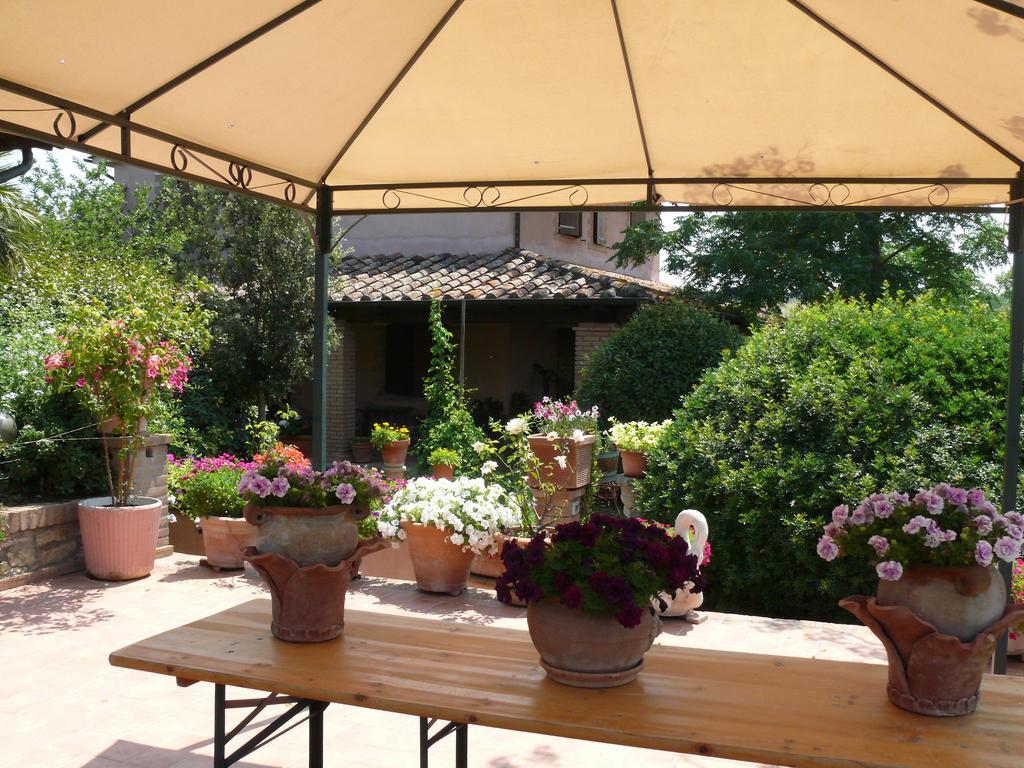 Agriturismo Da Lorena Marsiliana Buitenkant foto